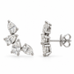 Aretes Siloe