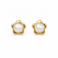 Aretes Meliora