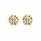 Aretes Caldris