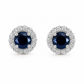 Aretes Darsenne