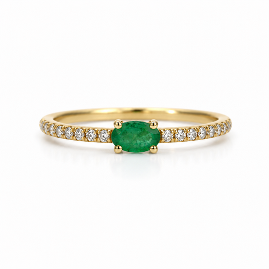 Anillo Savanna