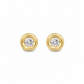 Aretes Viretta