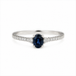 Anillo Novele