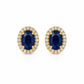 Aretes Calista