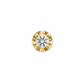 Piercing Oryelle Gold