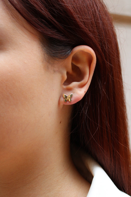 Aretes de Mariposa