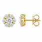 Aretes Virelle