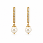 Aretes Élan