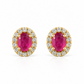 Aretes Morine