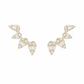 Aretes Nivelle