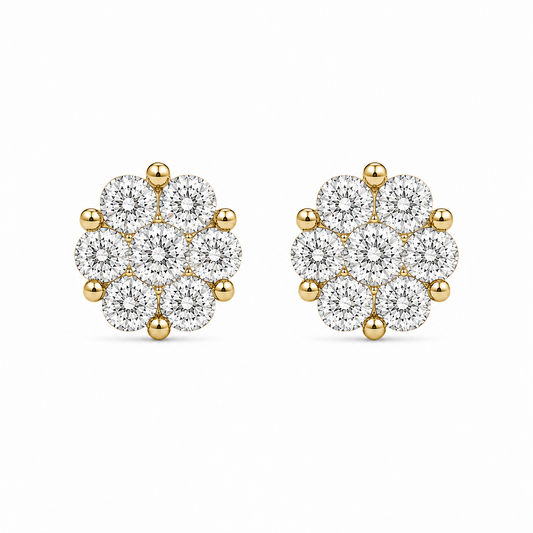 Aretes Marais