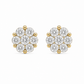 Aretes Marais