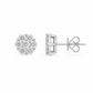 Aretes Isolde