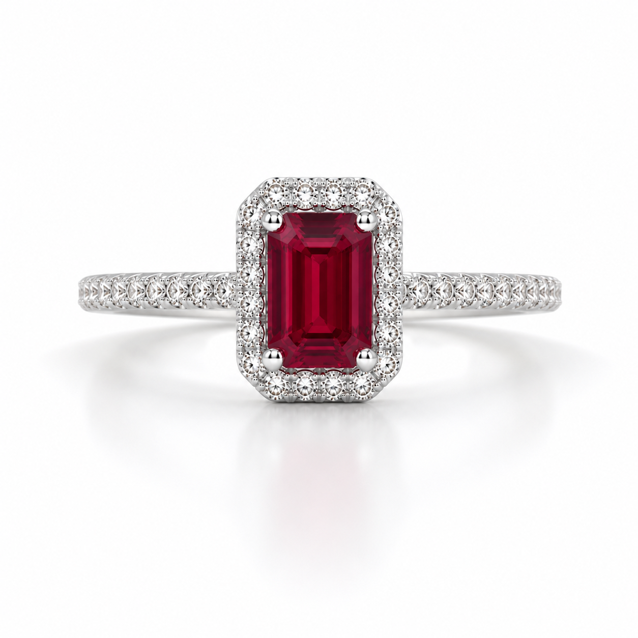 Anillo Polar