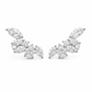Aretes Lunaria