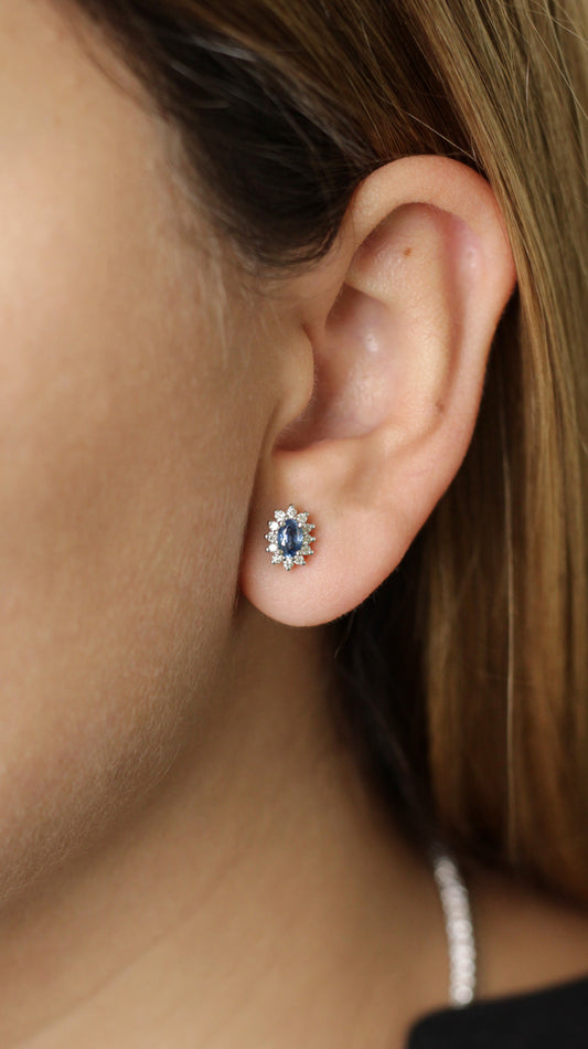 Aretes Cressida