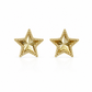 Aretes Sidra