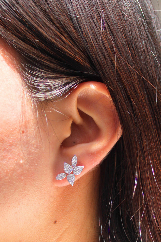 Aretes Brillo Silvestre