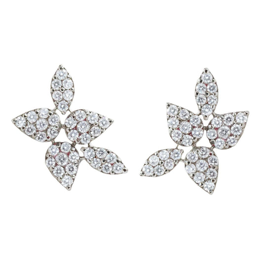 Aretes Brillo Silvestre