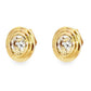 Aretes Brillo Eterno