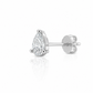 Piercing Eloise
