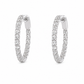 Aretes Lys