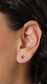 Aretes Morine