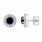 Aretes Briselle