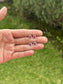 Rubíes mini