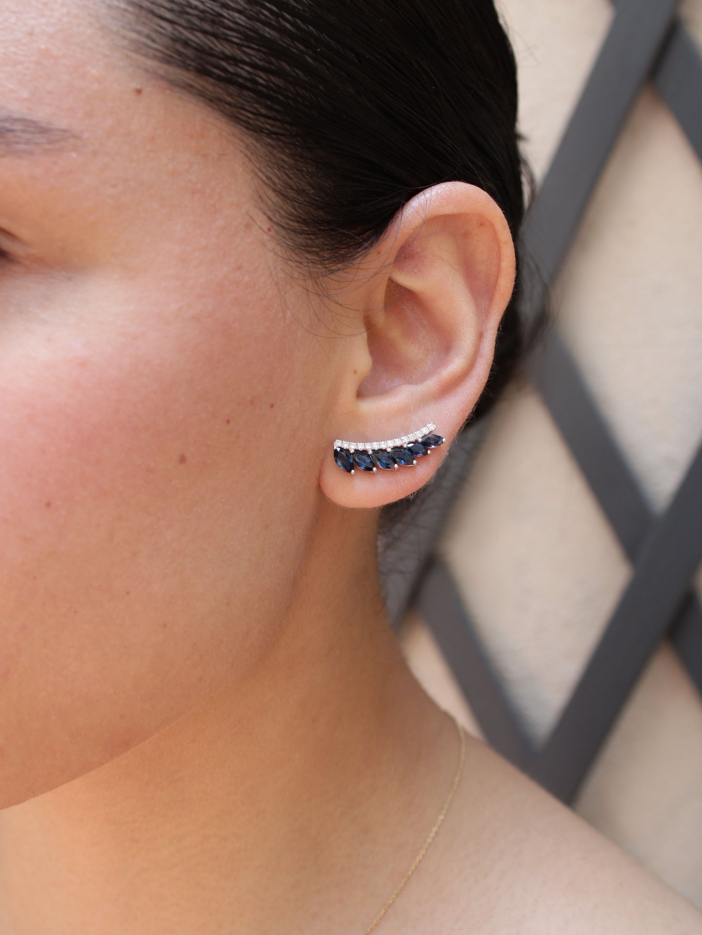 Aretes Vela
