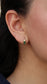 Aretes Monarch