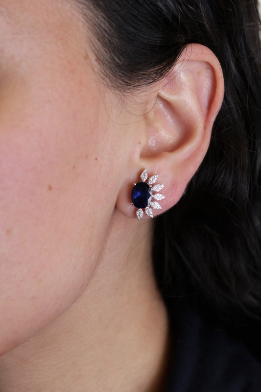 Aretes Asteria