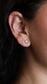 Aretes Astra