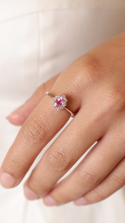 Anillo Paule