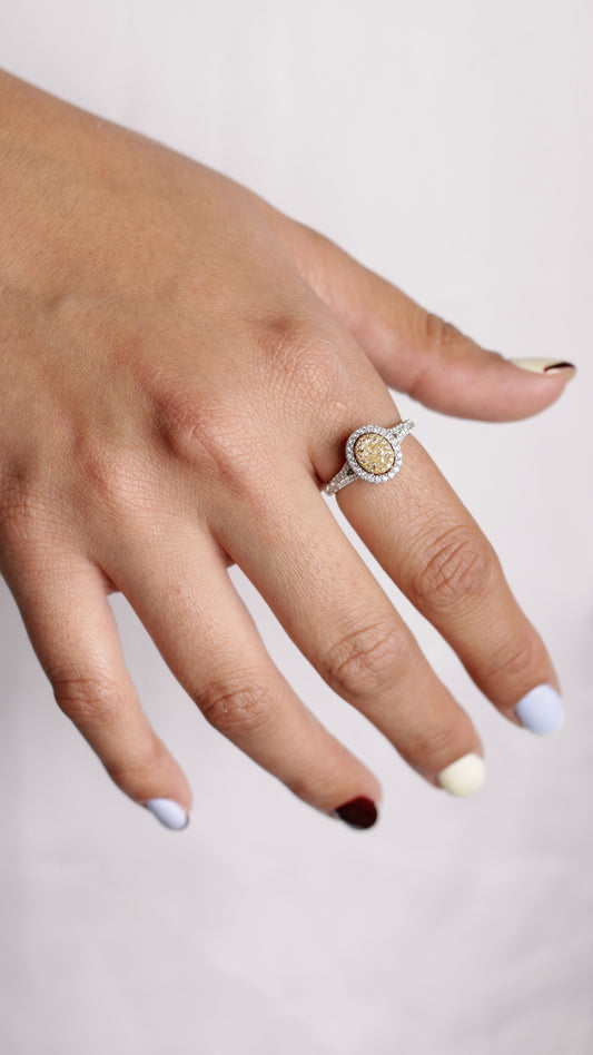 Anillo Doré