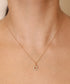 Collar Grisel