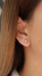 Aretes Nivés