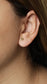 Aretes Solenne