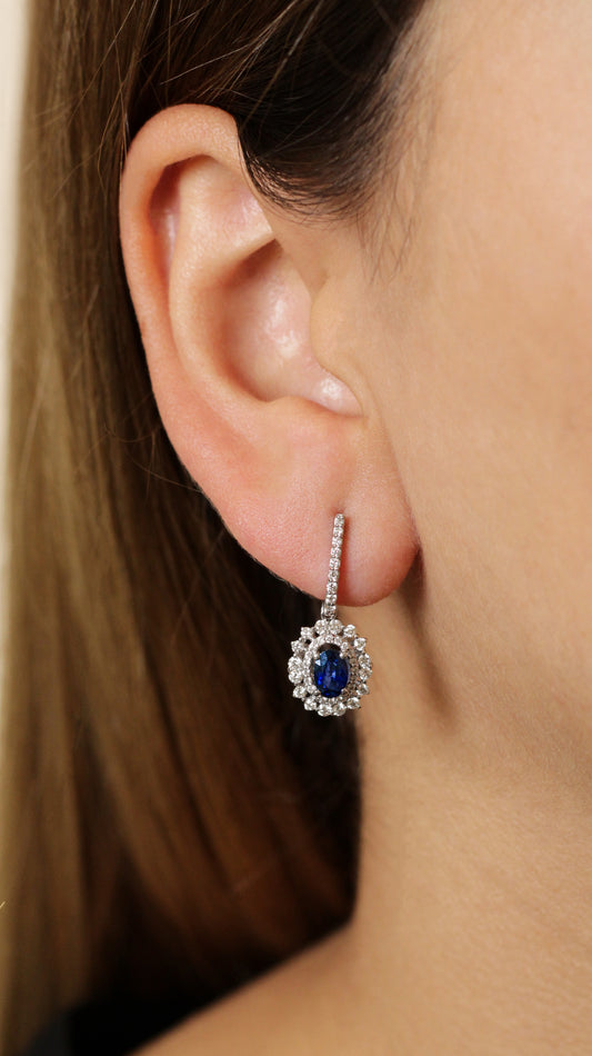 Aretes Celyr