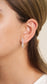 Aretes Snowfall