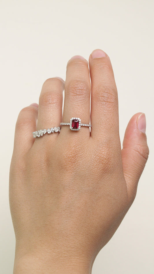 Anillo Polar
