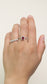 Anillo Polar