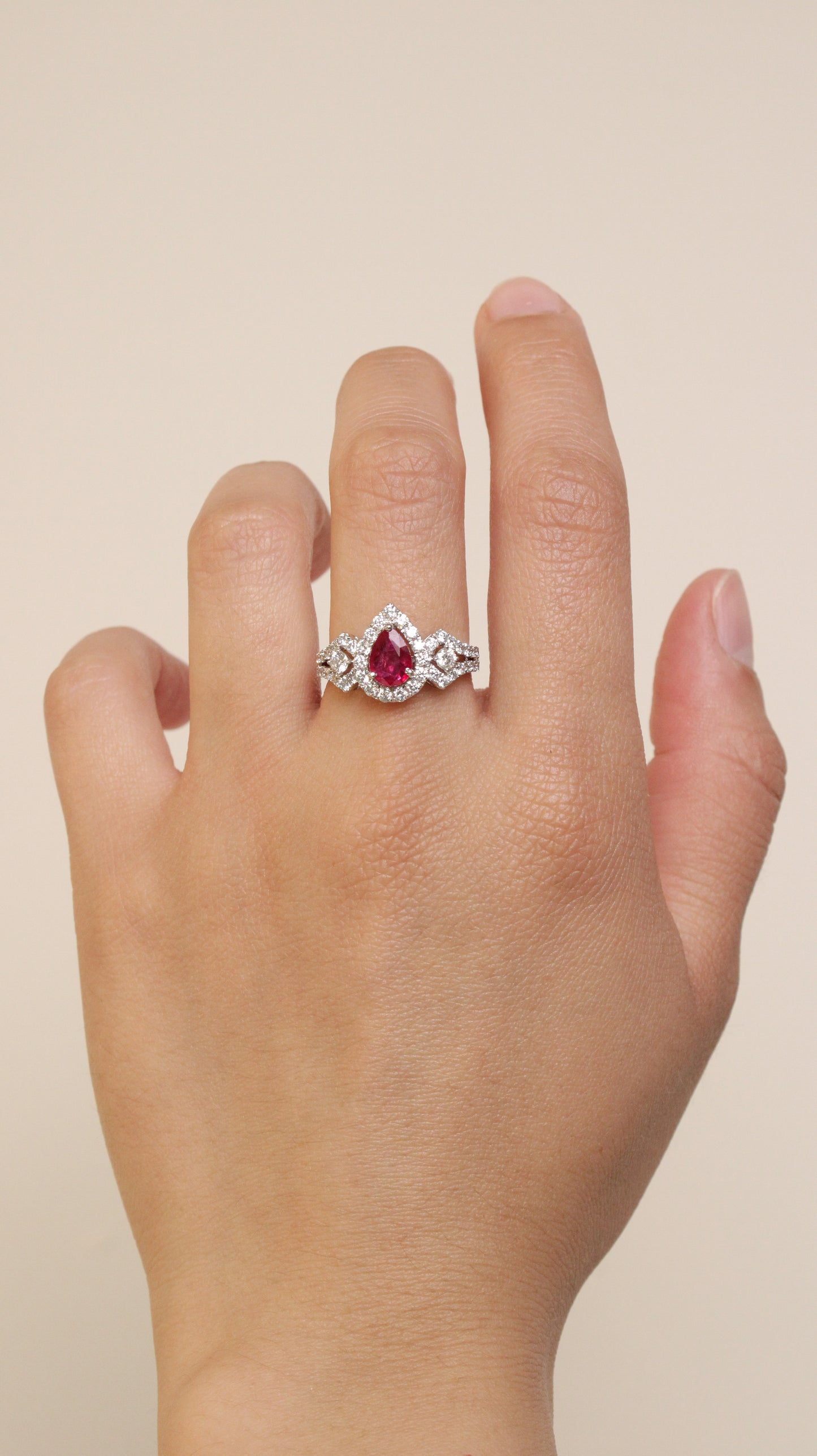 Anillo Sorella