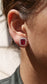 Aretes Regalia