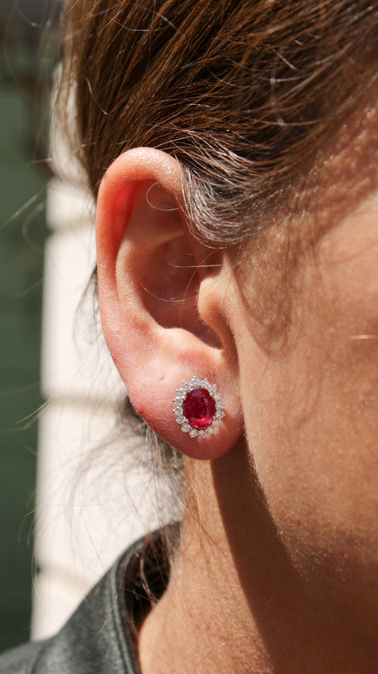 Aretes Cardinal