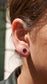 Aretes Cardinal