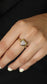 Anillo Barbs