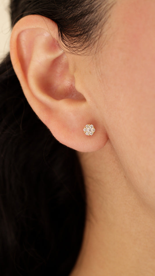 Aretes Marais