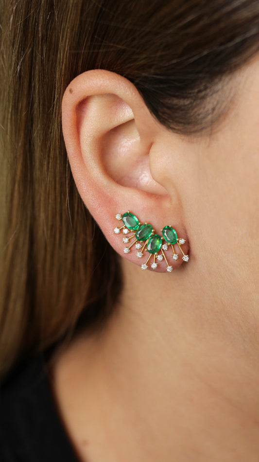 Aretes Evadne