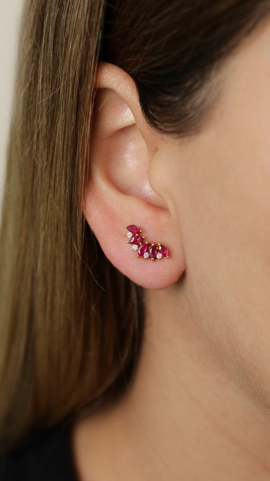 Aretes Rosalba